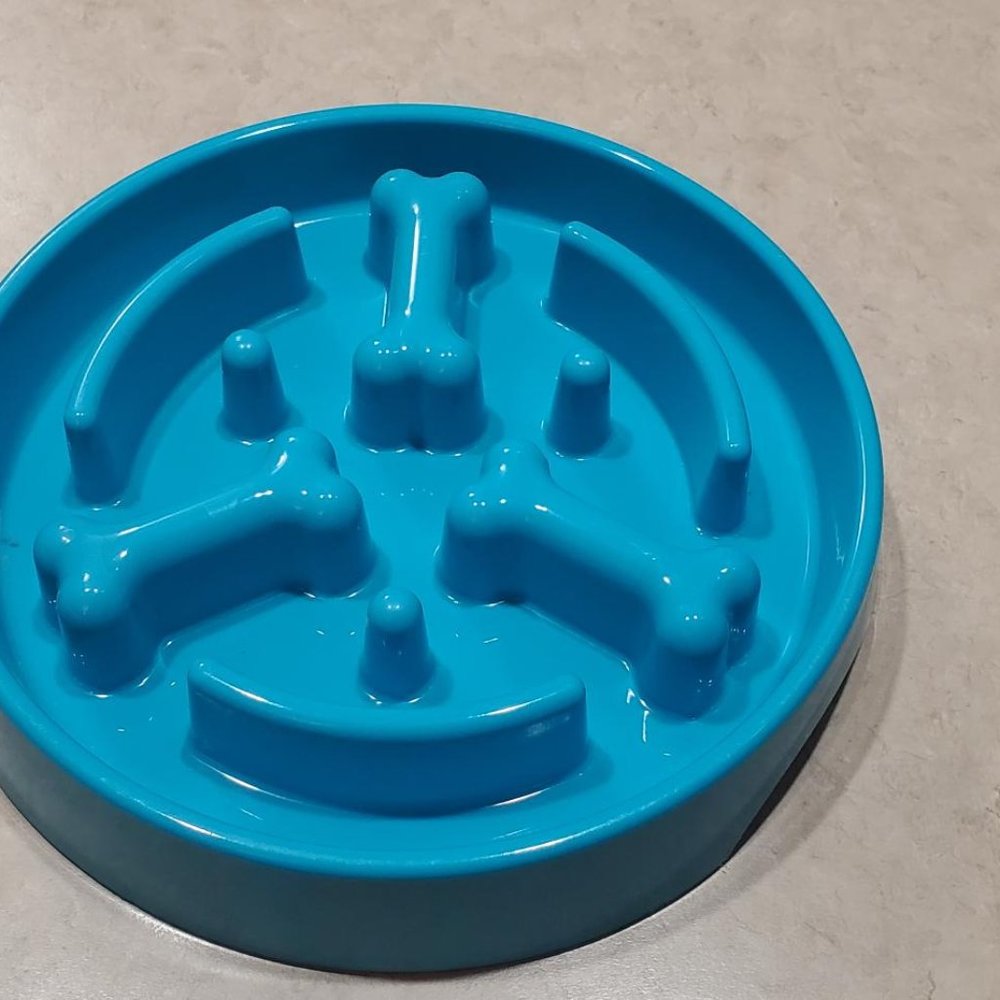 Slow Feeder Dog Food Bowl